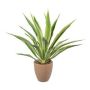 Agave furcraea gigantea artificiel SININ en pot en terre cuite, vert-crème, 85cm