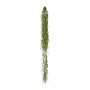Plante succulente artificielle Hoya linearis NERTIN, motte de terre, verte, 120 cm
