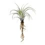 Plante succulente artificielle Tillandsia stricta SNELDON avec des racines, vert, 22cm