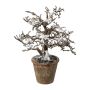 Arbre artificiel hêtre BONKA, sans feuillage, recouvert de neige, pot décoratif, blanc-marron, 24 cm