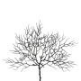 Branche artificielle Gorgone STRAVO, noir, 45cm