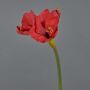 Fleur décorative Amaryllis BELAV, rouge, 70cm, Ø5-13cm