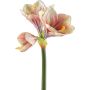 Fleur décorative Amaryllis BELAV, rose-crème-vert, 70cm, Ø5-13cm