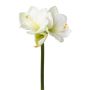 Fleur décorative Amaryllis BELAV, blanc-vert, 70cm, Ø5-13cm