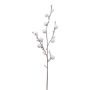 Branche décorative de coton GRIFON avec des fruits, blanc, 90cm