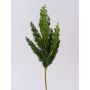 Branche décorative de genévrier STURNYN, verte, 50 cm
