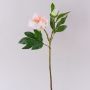 Pivoine artificielle FYRFAR, ouverte, rose clair, 60 cm
