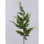 Branche décorative de thuya STERNYN, verte, 85 cm