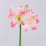 Amaryllis artificielle SARNUK, blanc-rose, 80 cm