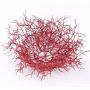 Coupe décorative GLIESE à partir de branches, rouge, Ø60cm