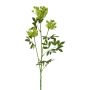 Branche artificielle de carotte sauvage TOLHER, verte, 85 cm