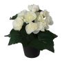 Fleur artificielle Bégonia KELTO en pot décoratif, blanc, 25cm