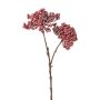 Branche décorative de sureau ZORNKE, baies, rose foncé, 50cm