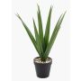 Palmier artificiel Yucca BAKVER, pot décoratif, crossdoor, 50 cm