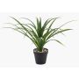 Palmier artificiel Yucca rostrata POLLYANNA, pot décoratif, crossdoor, 35 cm