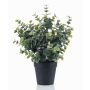 Eucalyptus artificiel GLIWEN dans un pot décoratif, vert-gris, 30 cm