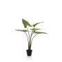 Plante artificielle Alocasia Sanderiana MUNAY en pot décoratif, vert, 80cm