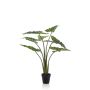 Plante artificielle Alocasia Sanderiana MUNAY en pot décoratif, vert, 100cm