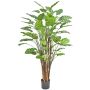 Plante artificielle Calathea makoyana HYZANS, verte, 150 cm