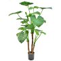 Plante artificielle Alocasia calidora NOKJAN, verte, 120 cm