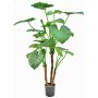 Plante artificielle Alocasia calidora NOKJAN, verte, 120cm