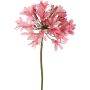 Fleur d'agapanthe artificielle KAFENA, rose clair, 90 cm, Ø 20 cm