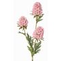 Branche artificielle d'œillet barbu STERMYN, rose, 75 cm, Ø 6,5-8,5 cm