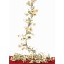 Guirlande artificielle d'edelweiss des Alpes WALSIMA, blanche, 180 cm, Ø 5-6 cm