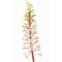 Fleur artificielle : lys à crête ZERFIM, blanc-vert, 90 cm