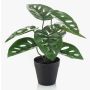 Plante artificielle Philodendron monstera adansonii PRUMEX, pot décoratif, 28 cm