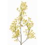 Branche artificielle de gypsophile MURMYN, jaune-vert, 65cm