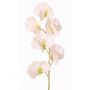 Fleur artificielle Lathyrus WAHNY, blanc-vert, 45 cm, Ø 5,5 cm