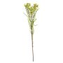 artificiel branche Fleur de cire MEDEA, vert-rose vif, 80cm, Ø6cm