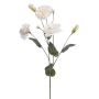 Fleur artificielle Lisianthus RENARA, blanc, 75cm