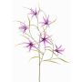 Branche décorative de lépidophore TYZANS, violette, 95 cm