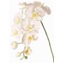 Branche décorative d'orchidée Phalaenopsis WESA, blanche, 90cm, Ø11-12,5cm