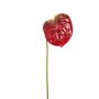 Fleur artificielle Anthurium SAMBANA, rouge-vert, 65cm