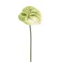 Fleur artificielle Anthurium SAMBANA, vert-crème, 65cm