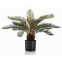 Palmier décoratif Cycas NEREO, 55cm