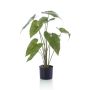 Plante artificielle Alocasia Zebrina LEFKA avec des racines, vert, 75cm
