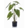 Plante artificielle Alocasia Zebrina LEFKA avec des racines, vert, 75cm