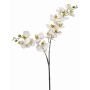 Tige d'orchidée Phalaenopsis artificielle WANTA, blanc, 100cm