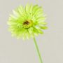 Fleur artificielle Gerbera TEUDELINDE, vert-crème, 55cm, Ø8cm