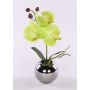 Fleur artificielle Orchidée Phalaenopsis NAPIRAI, cache-pot, crème-vert, 30cm