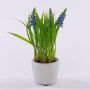Fleur artificielle Muscari NARMADA en pot en ciment, bleu, 20cm