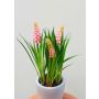 Fleur artificielle Muscari NARMADA en pot en ciment, rose, 20cm