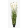 Graminée artificielle vulpin ANAELLA avec panicules, vert, 150cm