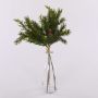 Botte de cryptomeria décorative KIGANJA avec des pommes de pin, vert, 35cm