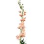 Fausse fleur Pied d'alouette RADUNIA, abricot, 100cm
