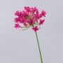 Fleur en plastique Agapanthus OMOLON, rose, 75cm